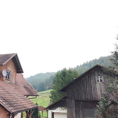 Geraeumige Wohnung Im Schwarzwald Seelbach  Eksteriør billede