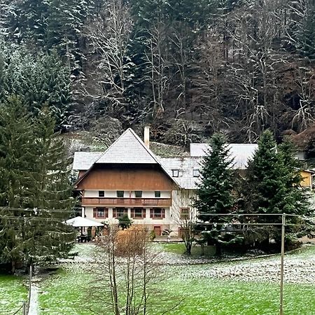Geraeumige Wohnung Im Schwarzwald Seelbach  Eksteriør billede
