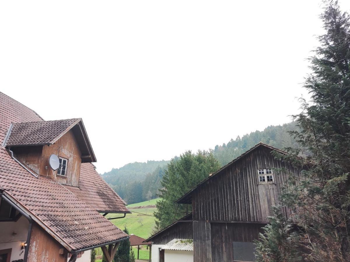 Geraeumige Wohnung Im Schwarzwald Seelbach  Eksteriør billede