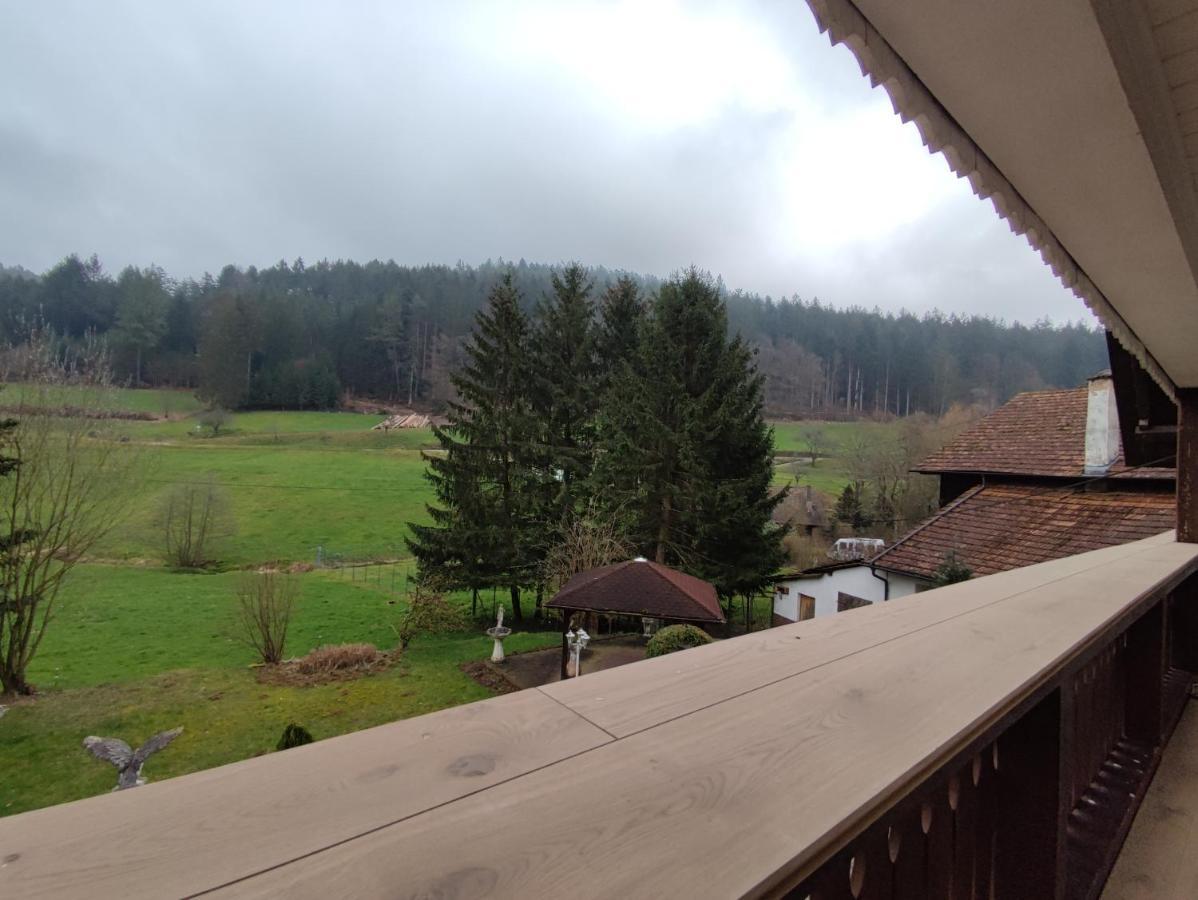 Geraeumige Wohnung Im Schwarzwald Seelbach  Eksteriør billede