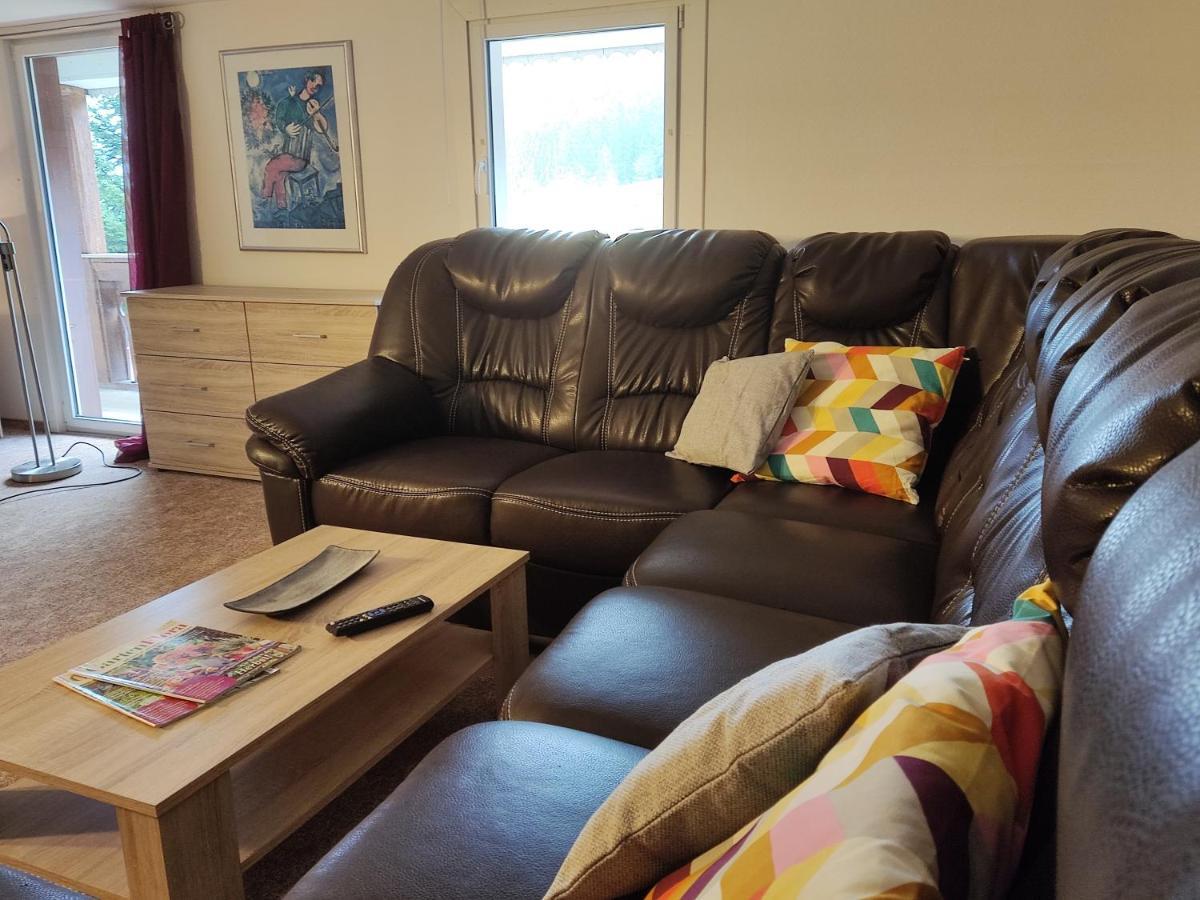 Geraeumige Wohnung Im Schwarzwald Seelbach  Eksteriør billede